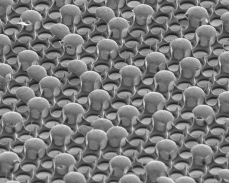 Биомиметический материал, созданный из гидрофильных металлических куполов и гидрофобных полимерных ш